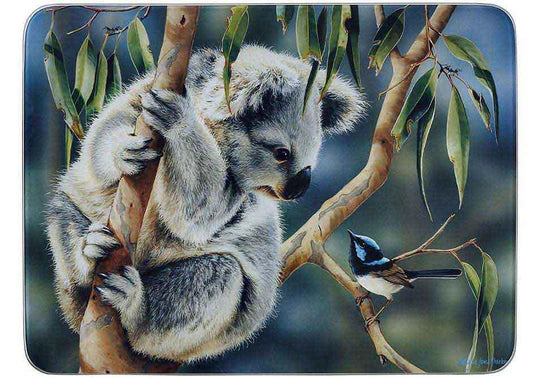 Fauna of Aus Surface Saver Koala & Wren