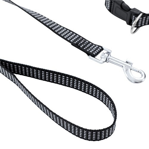 Collar & Lead Set