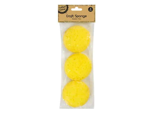 Craft Sponges 3pk