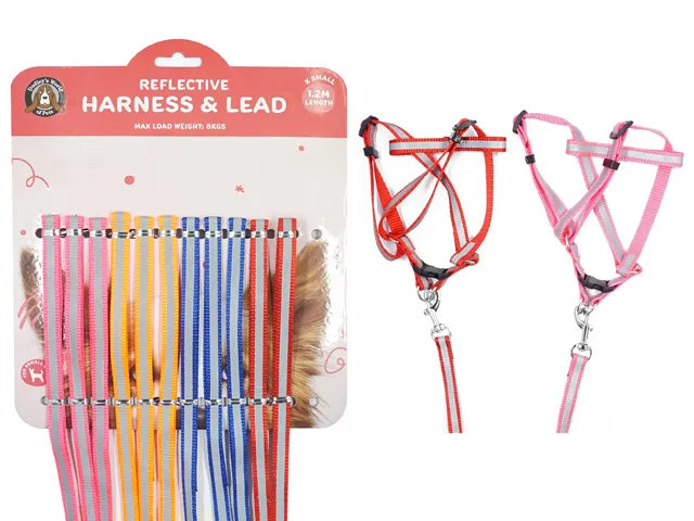 Reflective Dog Lead & Harness XS