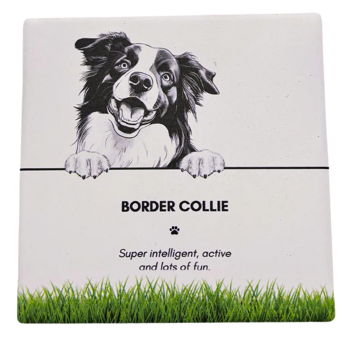 Pet Coaster Border Collie