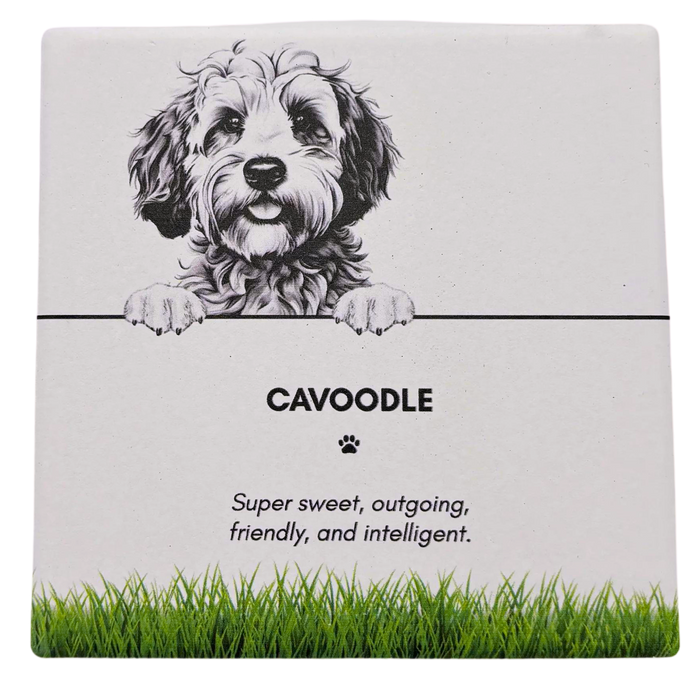 Pet Coaster Cavoodle