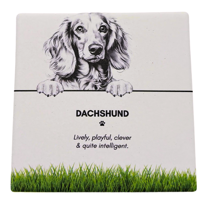 Pet Coaster Dachshund