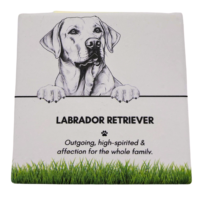 Pet Coaster Labrador Retriever