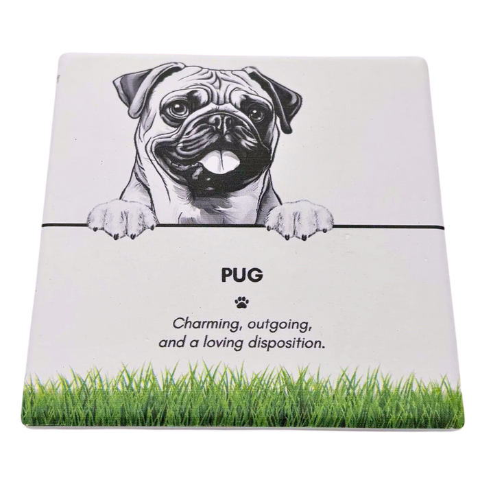 Pet Coaster Pug