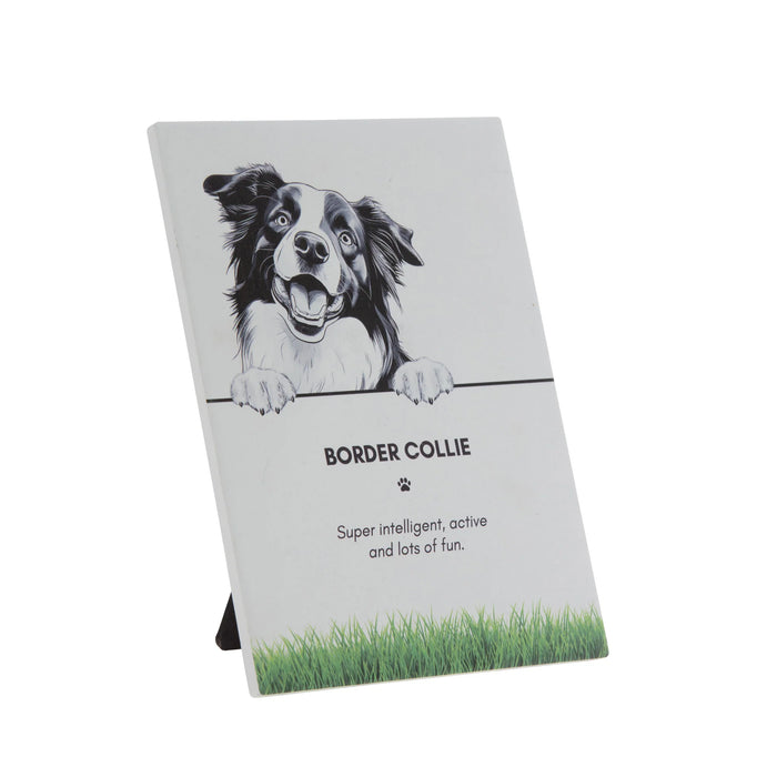 Pet Plaque Border Collie