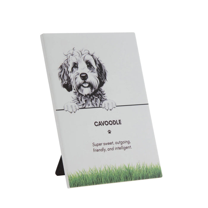 Pet Plaque Cavoodle