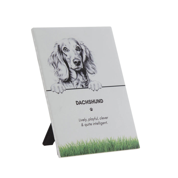 Pet Plaque Dachshund